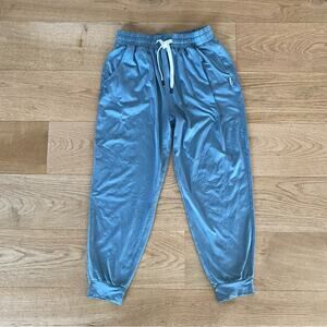 Feat - Roam Joggers in Powder Blue